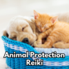 Animal Protection Reiki