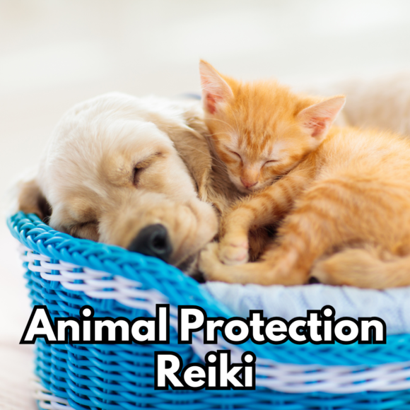 Animal Protection Reiki