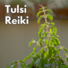 Tulsi Reiki