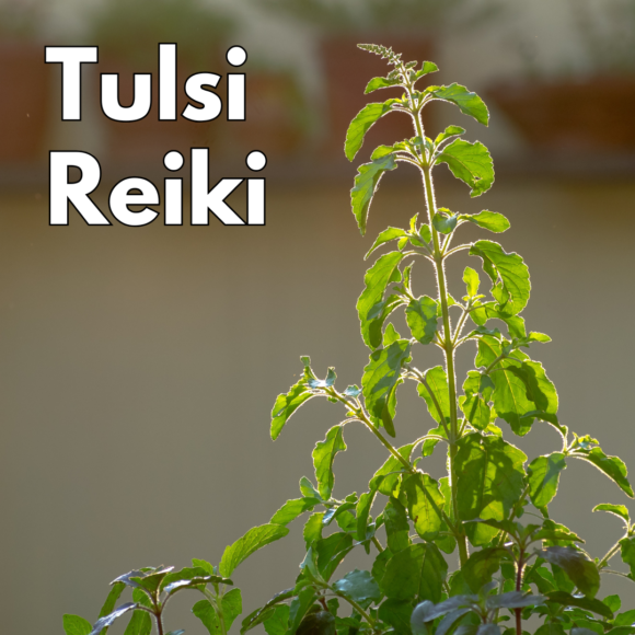 Tulsi Reiki